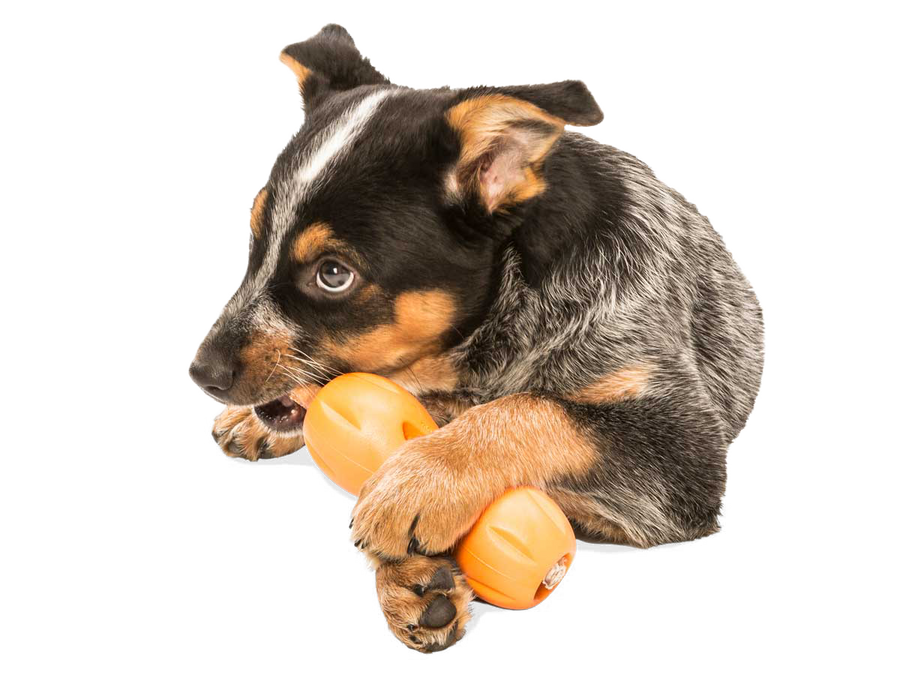 Qwizl® Dog Puzzle Treat-Dispensing Enrichment Toy