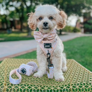 Dog Waste Bag Holder - Dainty Daisy (Spring)