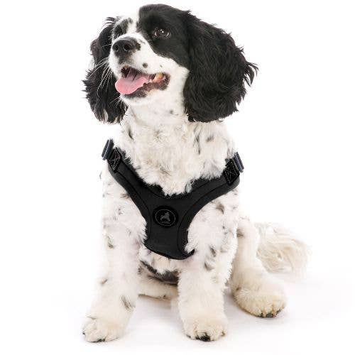 #04612 - Escape Free Sport Harness- Turquoise