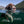 Wild-Caught Alaskan Sockeye Salmon Oil, Skin & Coat Health