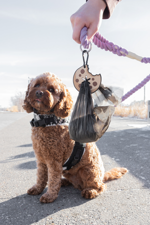 Chocolate Chip Cookie Poopy Loop® Used Dog Waste Bag Holder