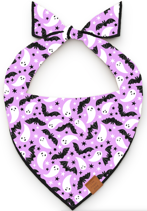Spooky Season Reversible Dog Bandana