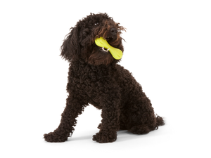 West Paw Hurley® Dog Toy for Chew, and Fetch