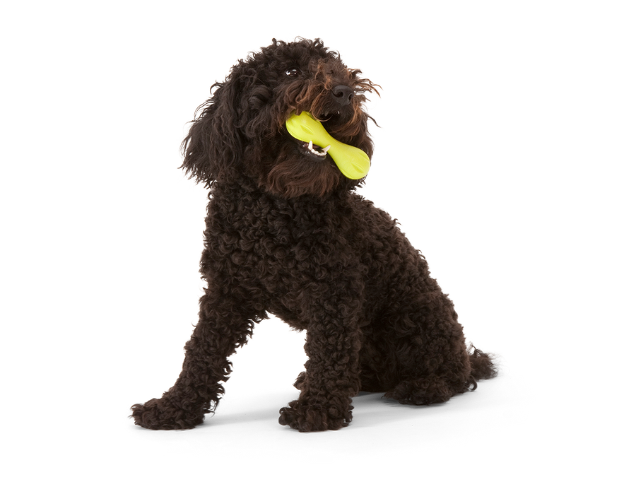 West Paw Hurley® Dog Toy for Chew, and Fetch