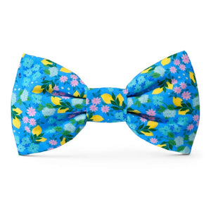 Bees in Bloom Dog Bow Tie
