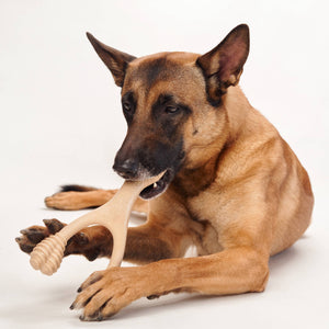 BetterBone Dog Chew: MEDIUM (Beef) Mini Size