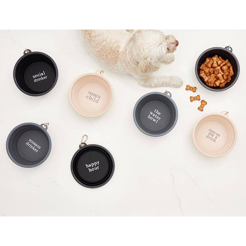 Collapsible Bowl (Large) - FavChild