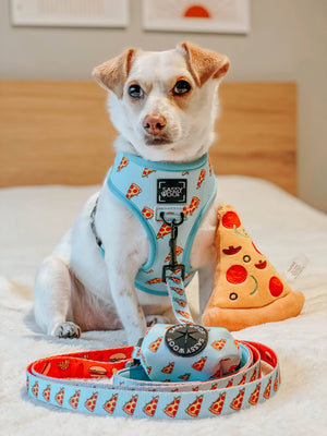 Dog Reversible Harness - One Hot Pupperoni