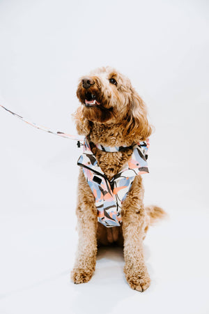 Leaf Dog Rain Jacket
