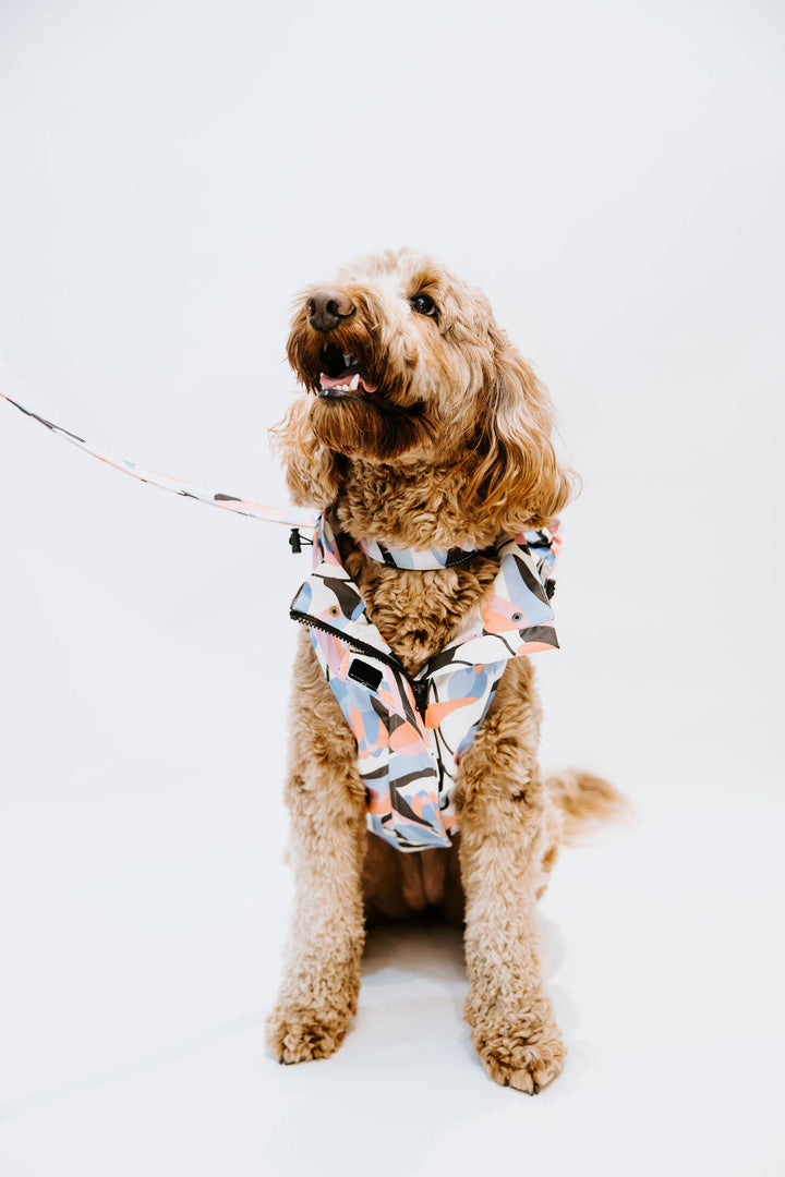 Leaf Dog Rain Jacket
