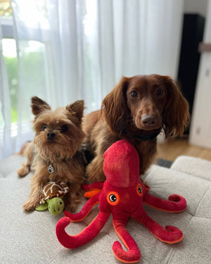SnugArooz Olivia the Octopus Plush Dog Toy 11"