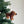 Felt Ornament - Dachshund Dog