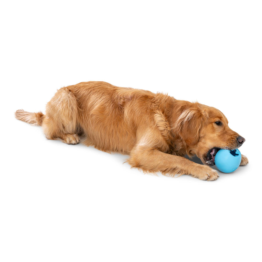 Rumbl® Puzzle Treat-Dispensing Enrichment Dog Toy