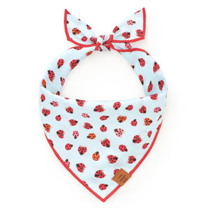 Love Bug Spring Dog Bandana