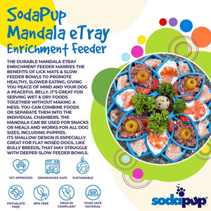 Mandala Design eTray Enrichment Tray for Dogs - Blue