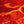 Wild-Caught Alaskan Sockeye Salmon Oil, Skin & Coat Health