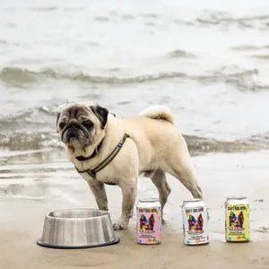 Tailwagger Dog Beer Individual Can (3 Flavors!)