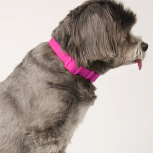 Adjustable Waterproof Collar