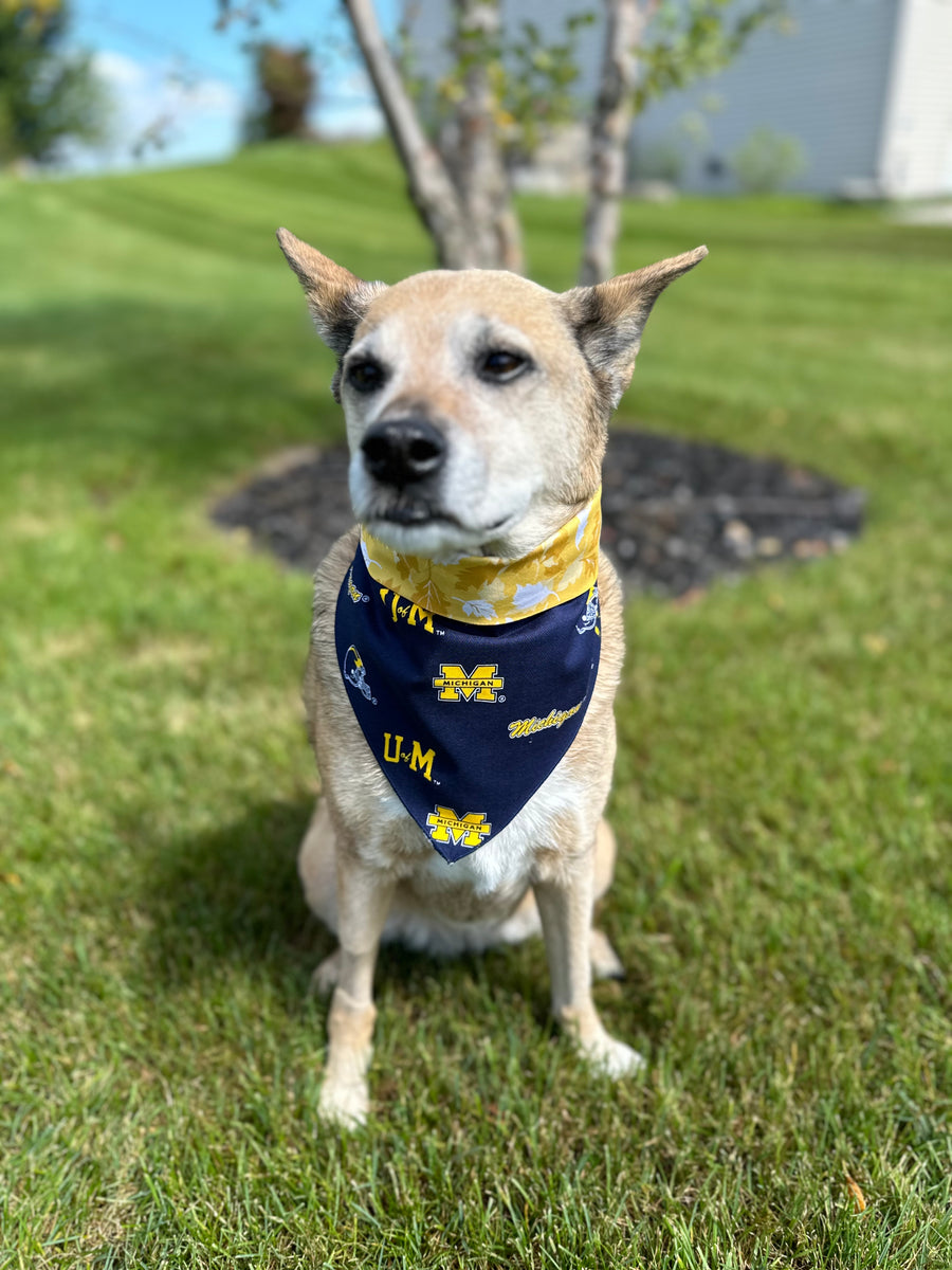 Go Blue! U of M Pride Dog Bandana