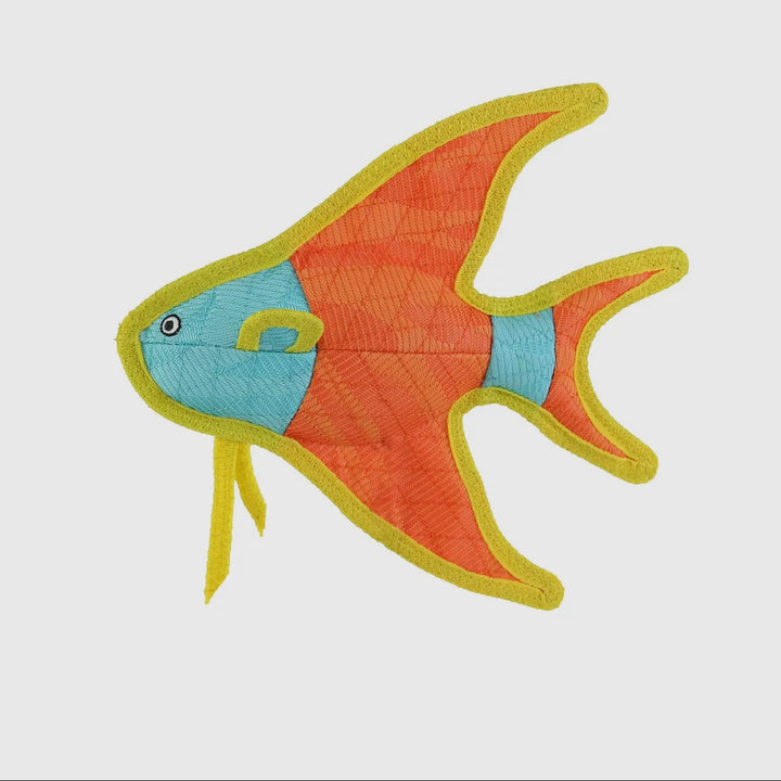 DuraForce Angel Fish