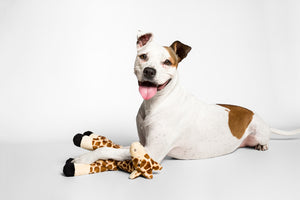 Fluff & Tuff Nelly Giraffe