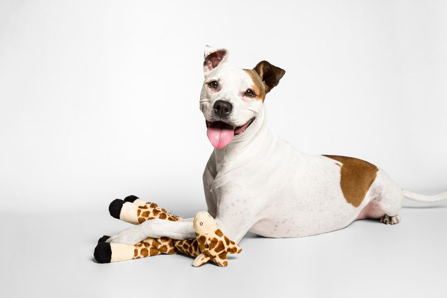 Fluff & Tuff Nelly Giraffe