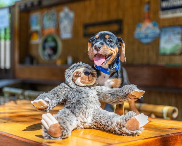 Fluff & Tuff Sunny Sloth