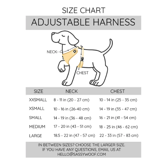 Dog Adjustable Harness - Baby Got Black