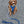 Dog Rope Leash - Ombre Blue