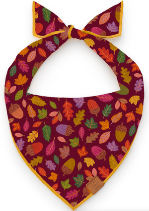 Nuts About You Dog Bandana