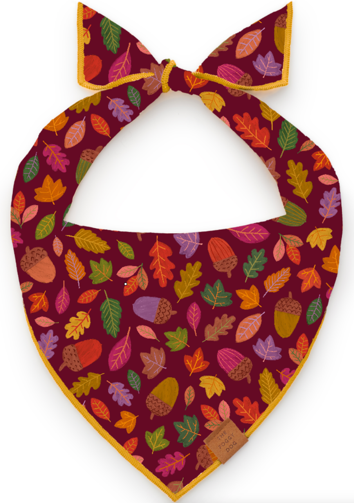 Nuts About You Dog Bandana