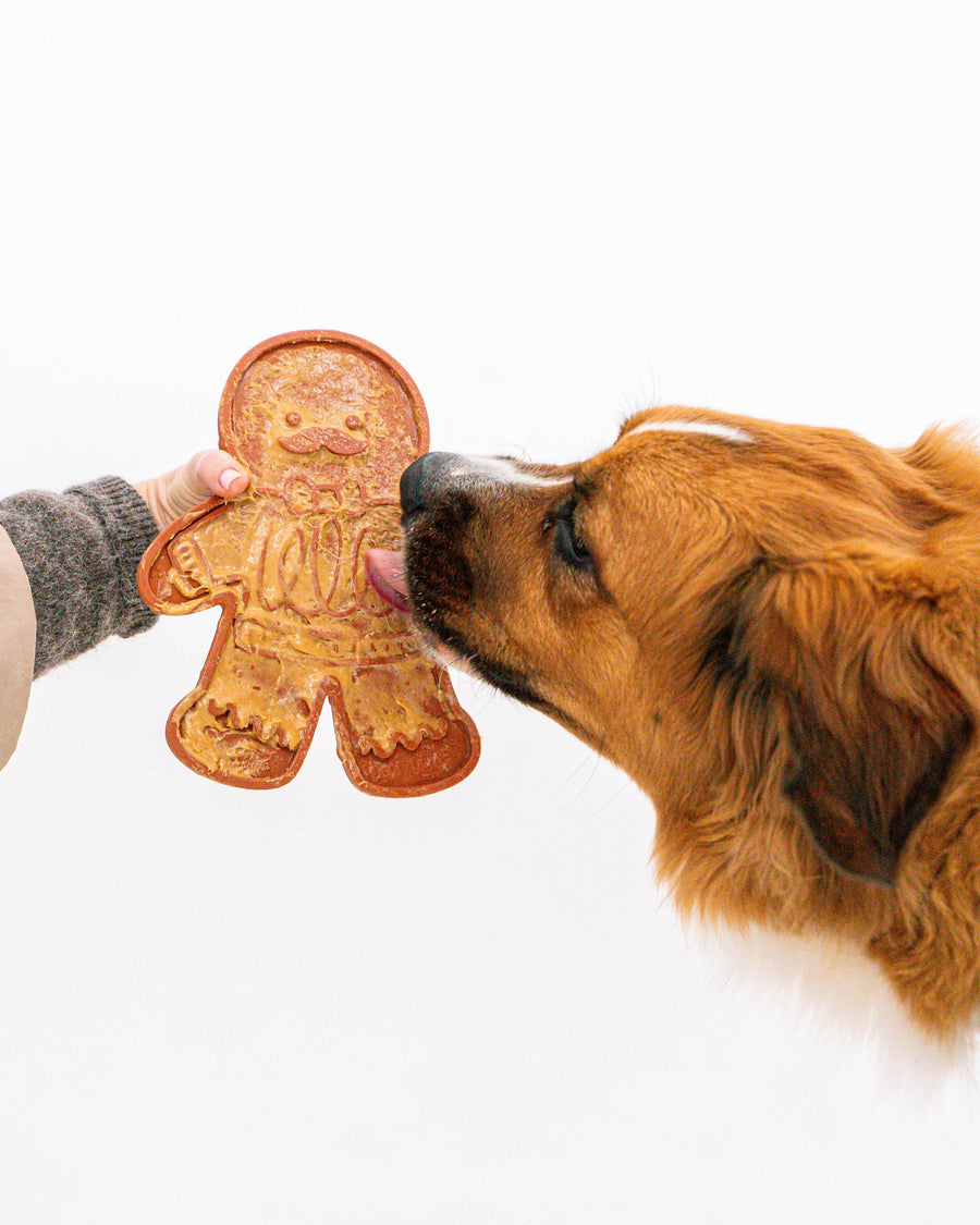 2 Piece Gingerbread Man & Spatula Set