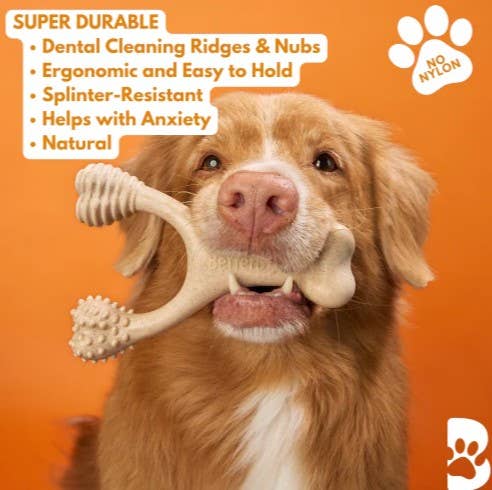 BetterBone Hard Dog Chew Toy- Large