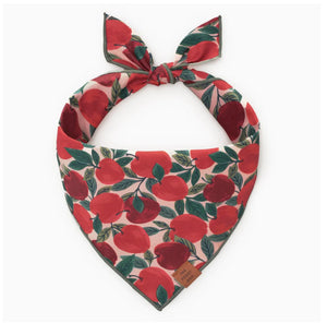 Apple of My Eye Fall Dog Bandana