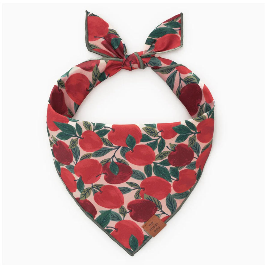 Apple of My Eye Fall Dog Bandana