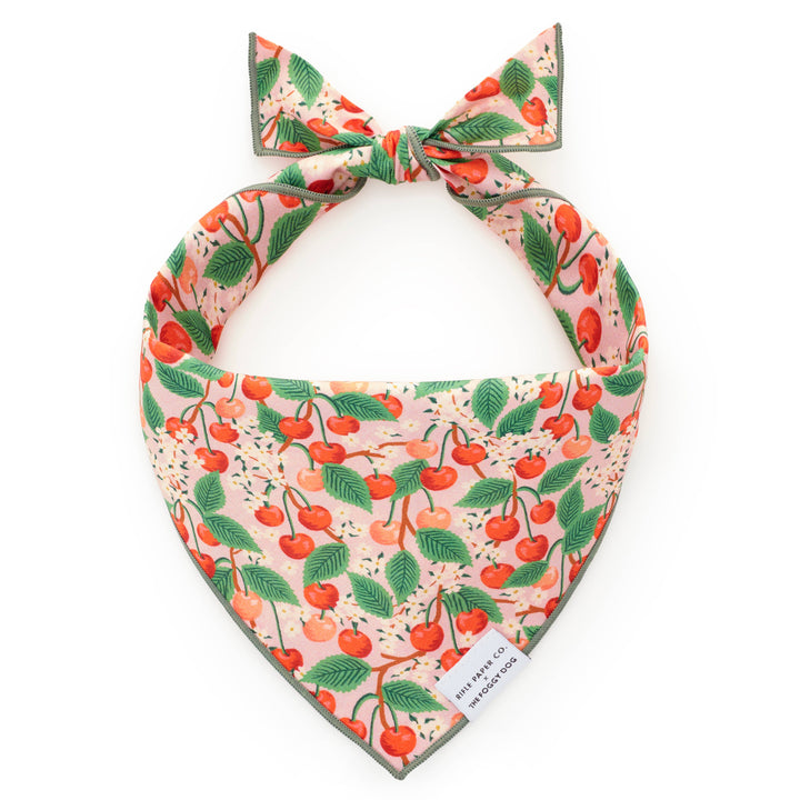 Foggy Dog Cherry Blossom Dog Bandana