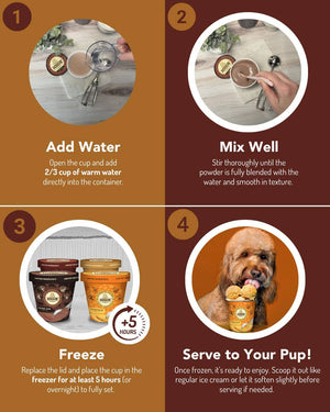 Hoggin' Dogs No Sugar Added Ice Cream Mix for Dogs: Pumpkin / 2.32 oz
