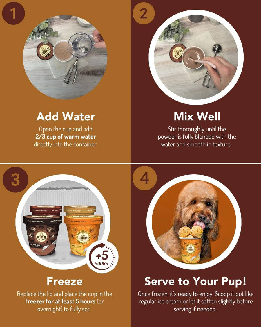 Hoggin' Dogs No Sugar Added Ice Cream Mix for Dogs: Pumpkin / 2.32 oz