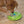 Nina Ottosson Wobble Slow Feeder Bowl Dog Game Blue/Green