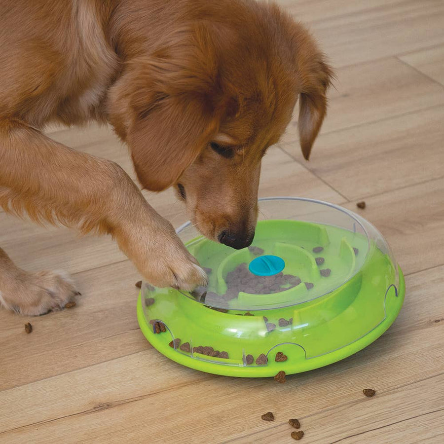 Nina Ottosson Wobble Slow Feeder Bowl Dog Game Blue/Green