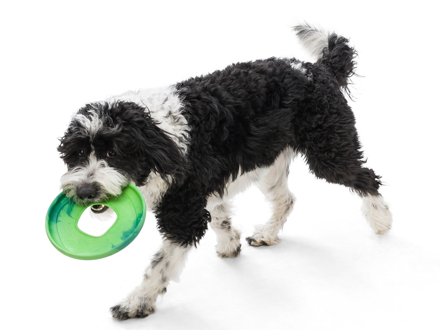 Sailz® Dog Flying Disc Fetch Toy