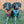 Dog Leash - One Hot Pupperoni (Food)