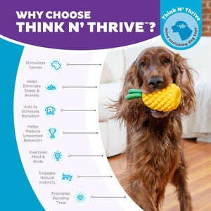 Planet Dog Dental Pineapple Dog Chew Toy Yellow