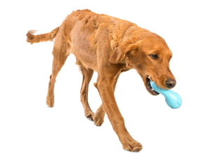 Qwizl® Dog Puzzle Treat-Dispensing Enrichment Toy