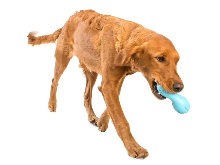 Qwizl® Dog Puzzle Treat-Dispensing Enrichment Toy