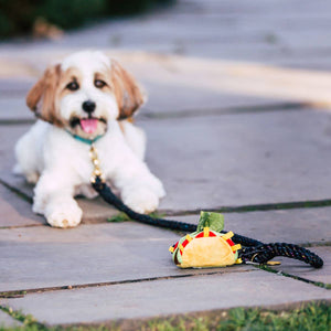 Taco Poop Bag Dispenser and Poop Holder