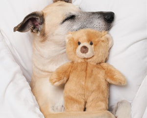 Fluff & Tuff Mr. Honey Bear Plush Dog Toy