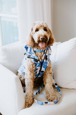 Floral Dog Rain Jacket