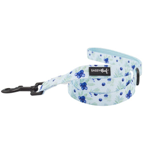 Dog Leash - Berry Sassy (Fruits)