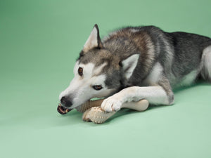 BetterBone Dog Chew: MEDIUM (Beef) Mini Size